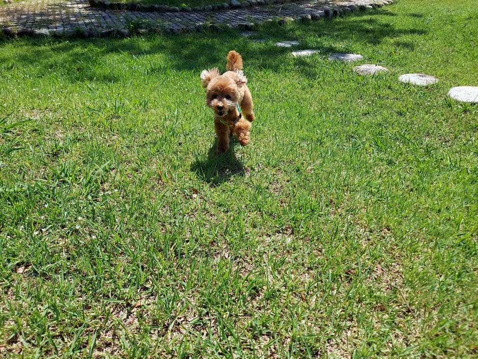 元気でいて欲しい