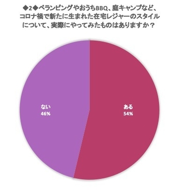 在宅レジャーをやったことがありますか?