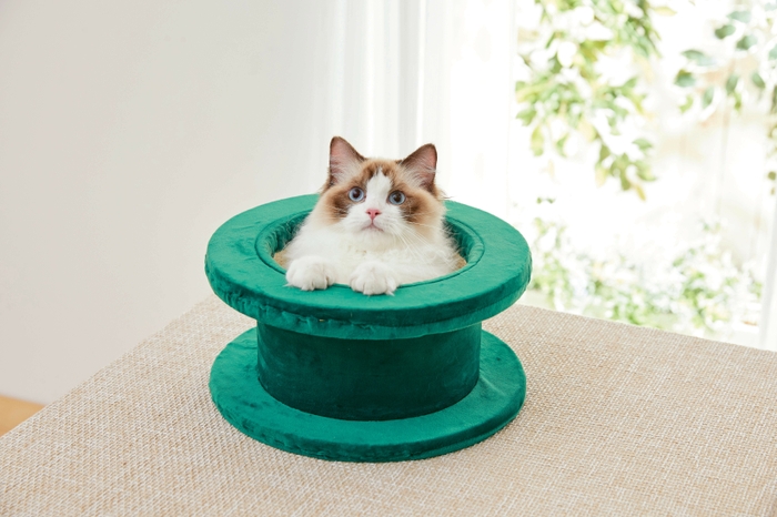 土管の中からひょっこり登場!