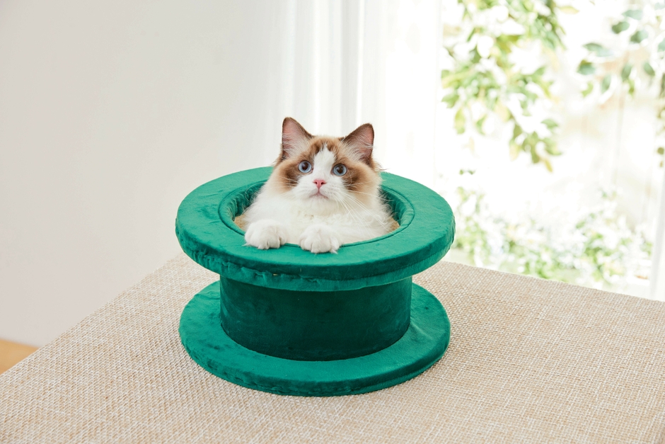 土管の中からひょっこり登場!