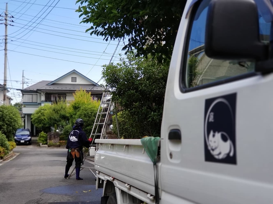 お庭のカットモデル３