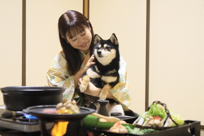 お部屋食でわんちゃんも安心