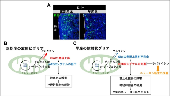 本研究の成果