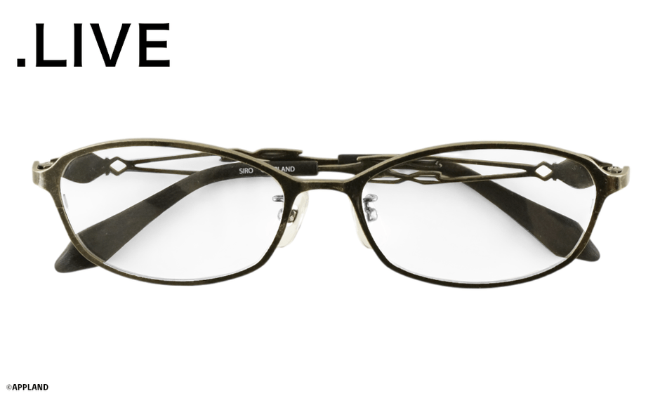 電脳少女シロモデル アンティークブラック 正面たたみ