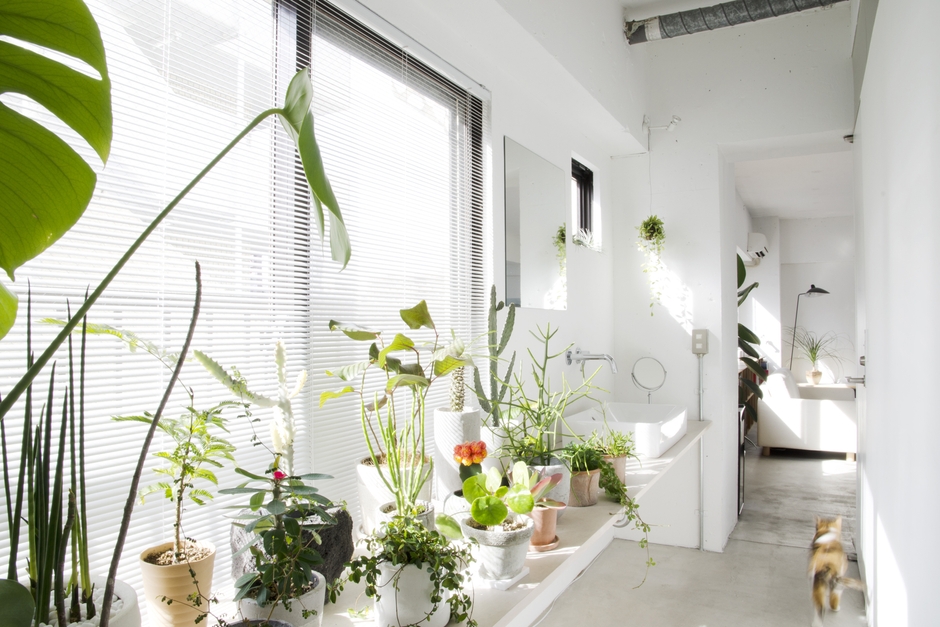 建築家と考えるフルリノベーションセミナー　―可変住宅編―