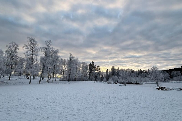 寮の近くの湖。夏は湖面がきれいですが、12月になると雪が積もって、氷が張ります