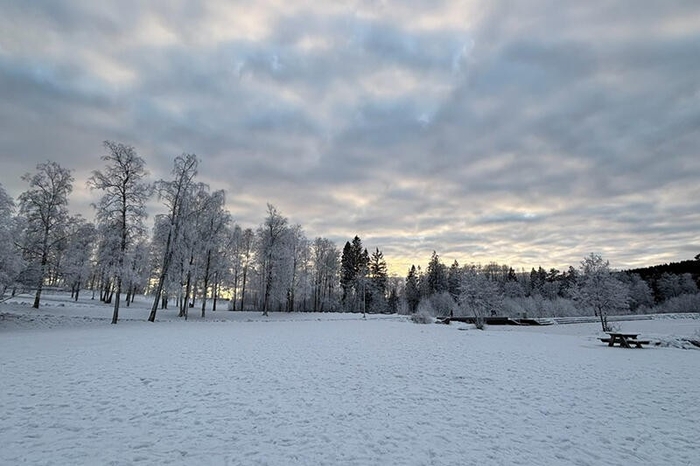 寮の近くの湖。夏は湖面がきれいですが、12月になると雪が積もって、氷が張ります