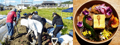アグリビジネス実習でのサツマイモの収穫の様子(左)、HeguriDeliへぐりの華咲く彩り弁当(右)