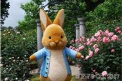 ピーターラビット(TM)のグリーティング(イメージ)