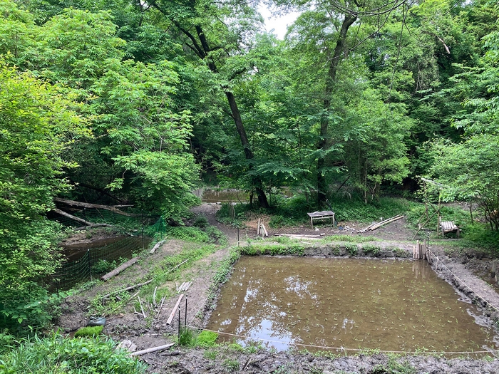 湿地エリア(2)の整備