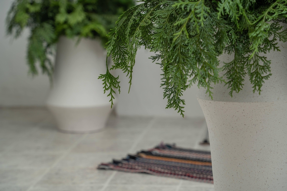 東京のヒノキの枝を直営サロンにて展示