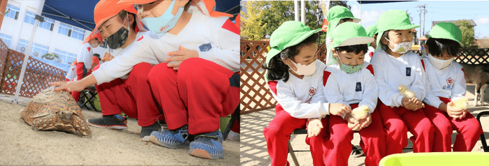 昨年の保護者会イベント「移動動物園」の様子