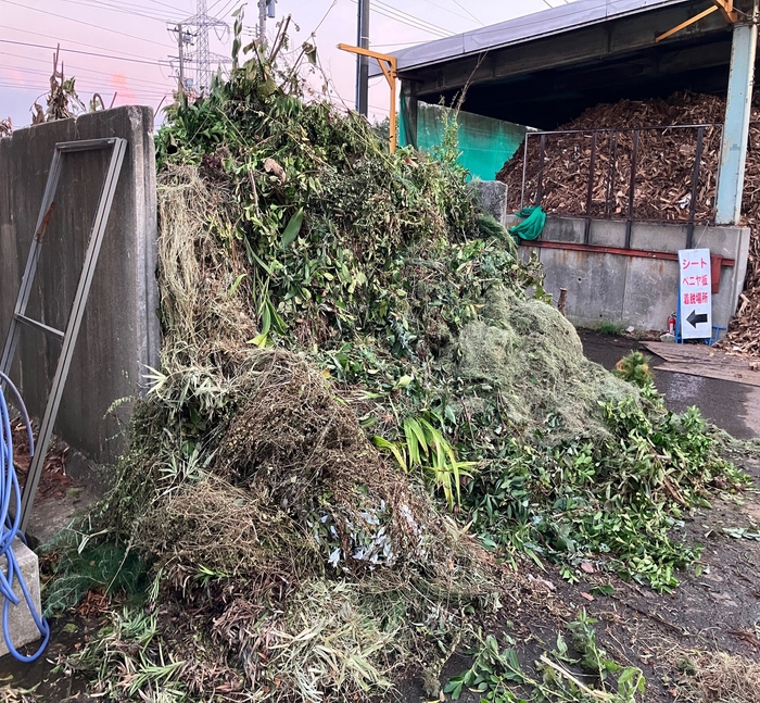 日々大量に持ち込まれる廃棄される枝葉の山