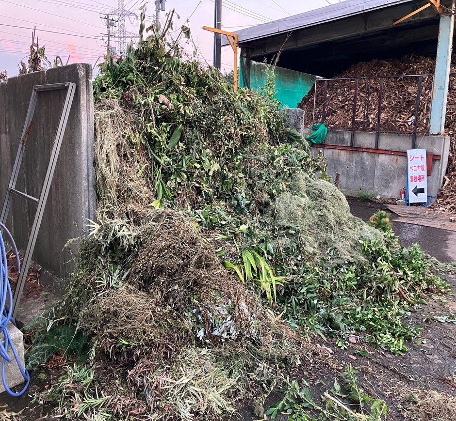 日々大量に持ち込まれる廃棄される枝葉の山