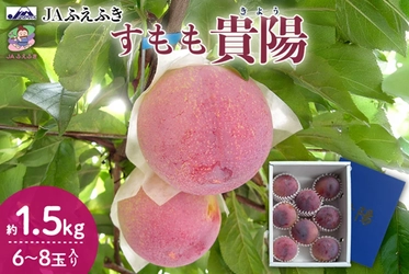果汁あふれる贅沢な甘みのすもも「貴陽」　産地直送通販サイト「ＪＡタウン」で予約販売中！