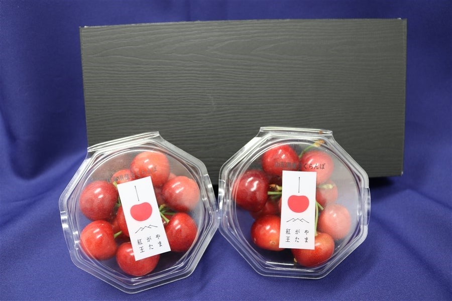 2023年デビュー 新品種のさくらんぼ「やまがた紅王」が 「JAタウン」のショップ「小さなYAMAGATAマルシェ」で、5月26日から 新発売!