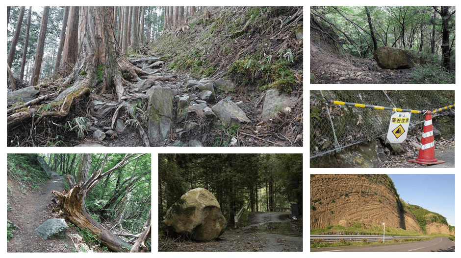 ※調査の現場：イメージ画像