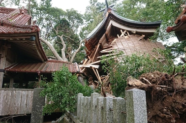 西暦322年創建の雉琴神社が、台風によって倒壊した 本殿再建のためクラウドファンディングを開始