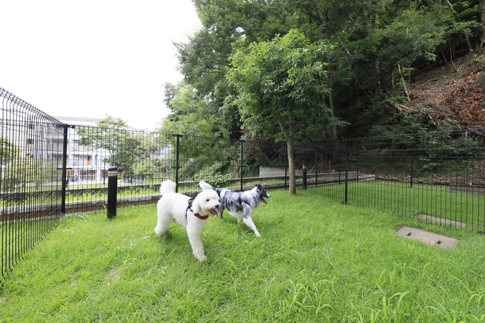 プライベートガーデン付Dogルーム