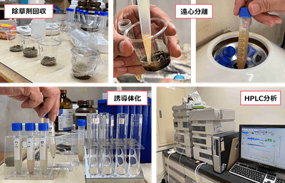 除草剤の分解