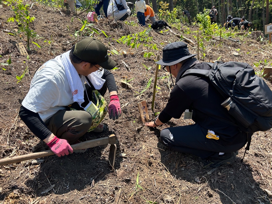 昨年行われた、植樹の様子
