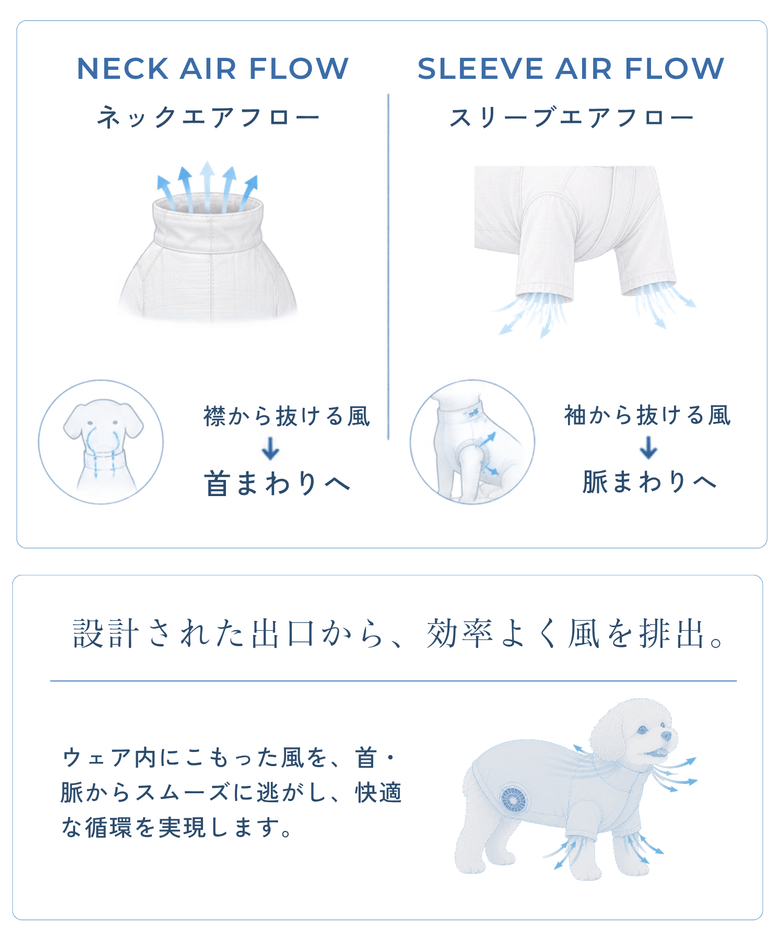 風の流れのメカニズム