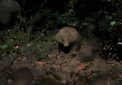 土砂降りの夜