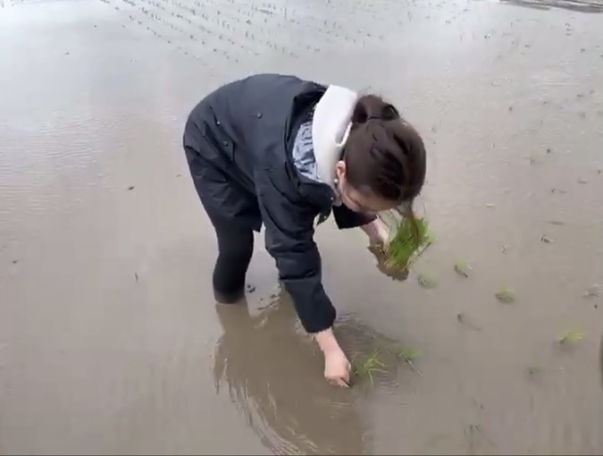 酒米、吟吹雪の田植えをするプロジェクト代表