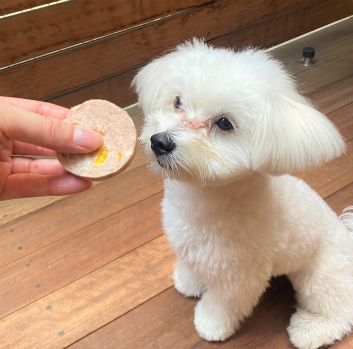 食べている様子1