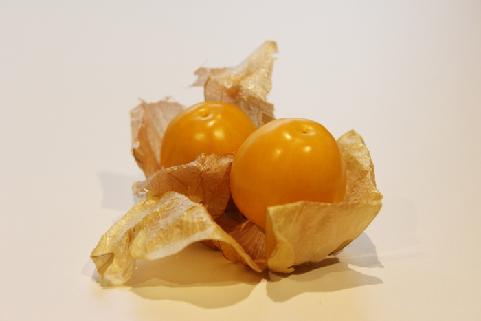 「パスタをつくる。群馬のレアベジでつくる。」レアベジ参考