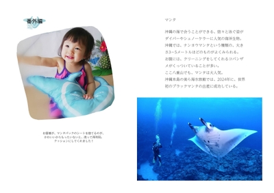 資料＿P13