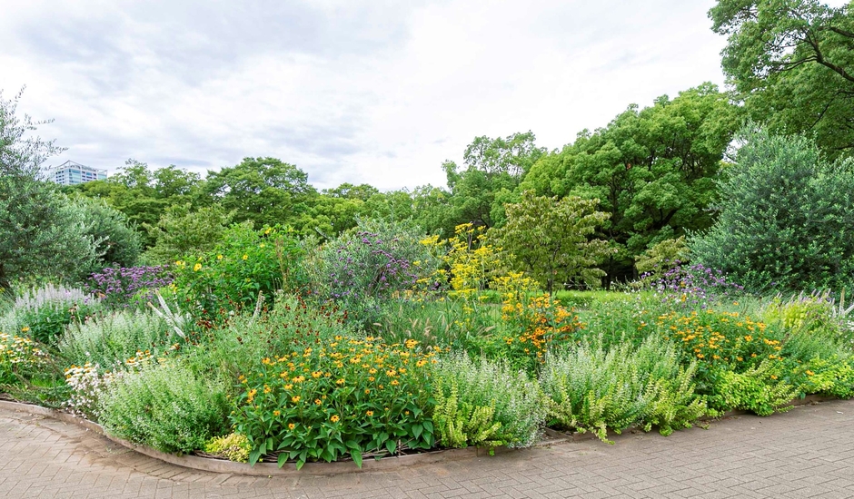 【グランプリ受賞のガーデン:Garden Sensuous】