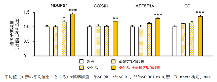 図2　ATP産生関連因子に及ぼすタウリンと必須アミノ酸5種の効果