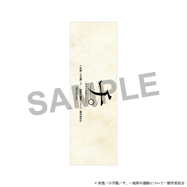 ●裏面（共通）