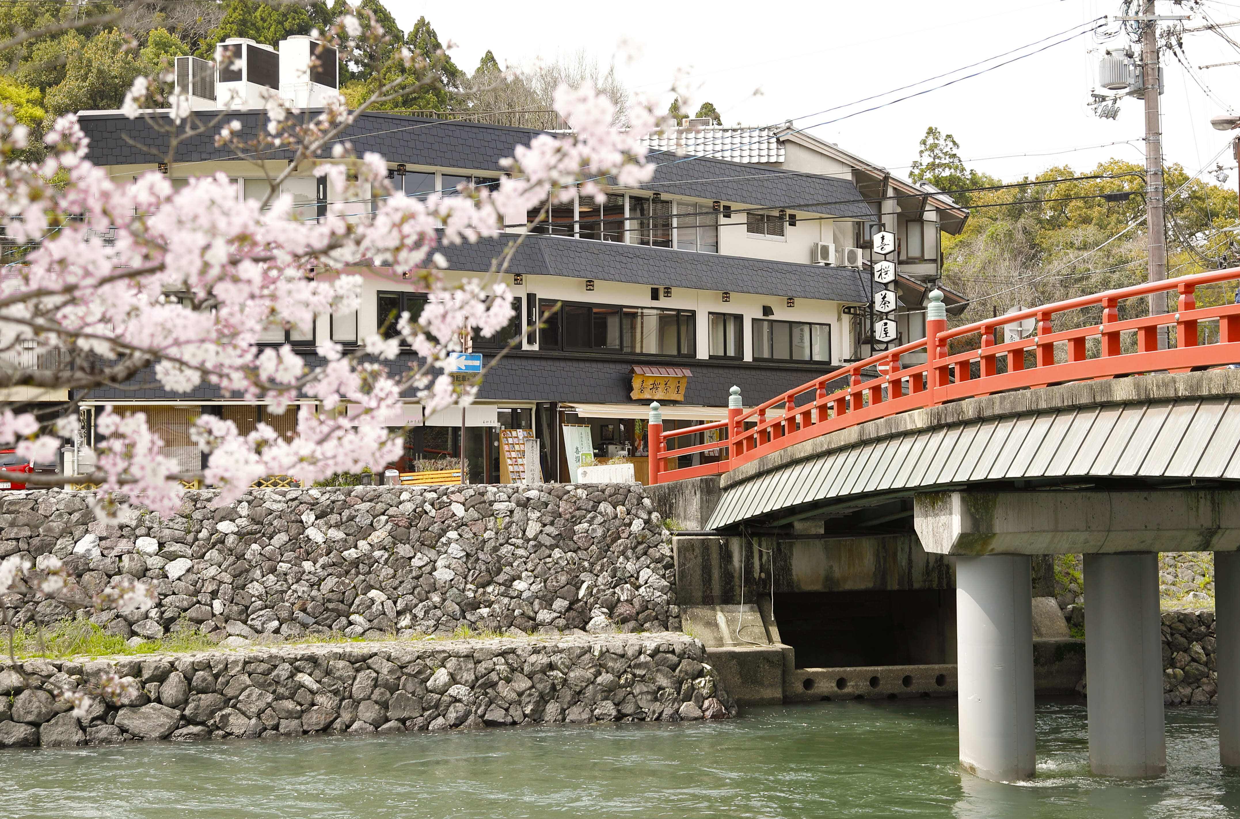 桜満開の喜撰橋