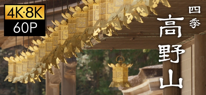 「四季 高野山」