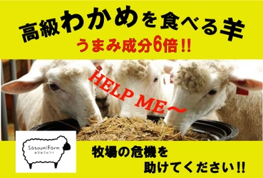 宮城県南三陸町で地域資源を活用して生まれた「南三陸わかめ羊」 コロナ禍の牧場継続の為に3月22日まで クラウドファンディング挑戦中！