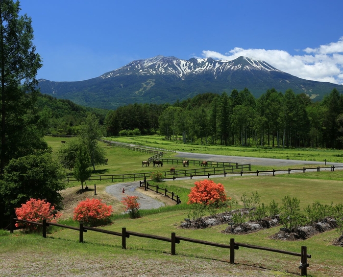 開田高原の夏