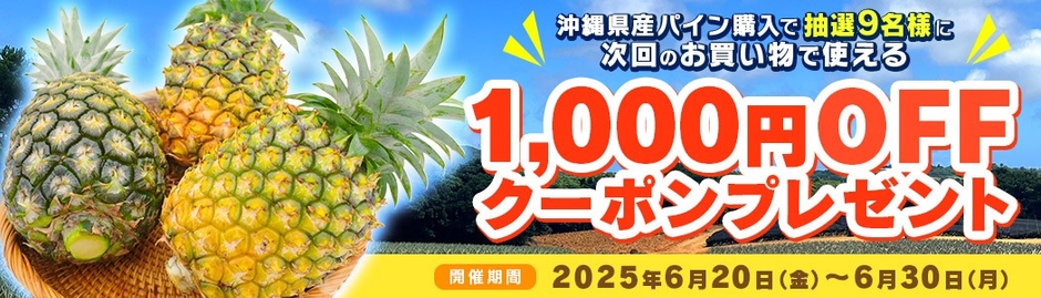 沖縄パイン1,000円OFFクーポン