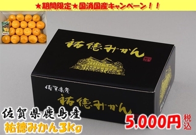 佐賀県鹿島産 祐徳みかん 約3kg