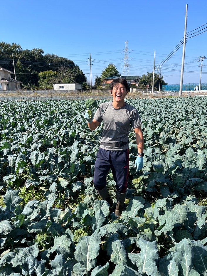 生産者:株式会社靖光