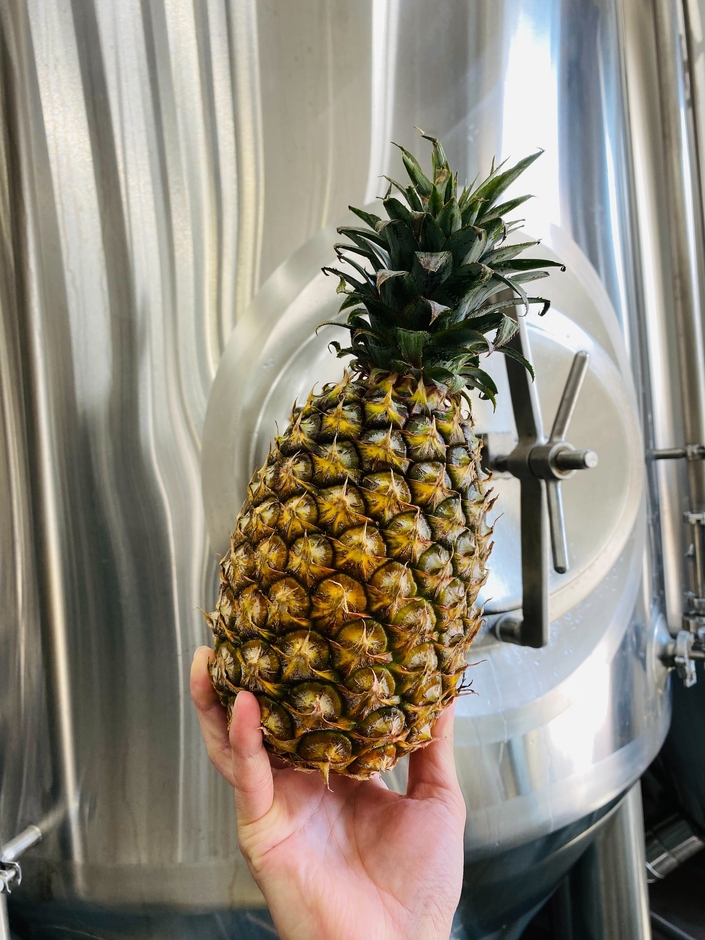 台湾産パイナップル