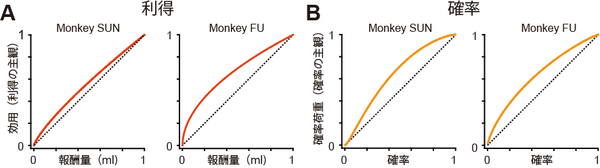 図２．サルの主観的な利得と主観的な確率の感じ方