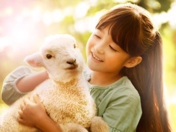 アニマル・フレンズ1