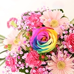 レインボー「無限の可能性」