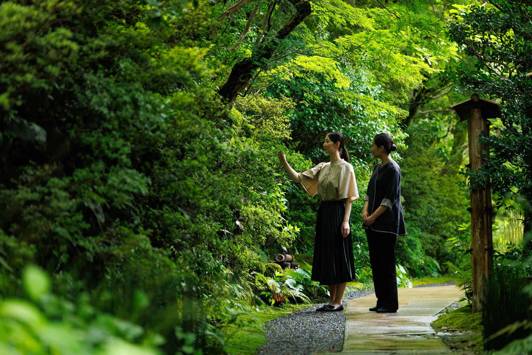 【星のや京都】嵐峡の自然の中で読書に没頭したり空中茶室で抹茶を楽しんだりなど、自分と向き合い気兼ねない時間が過ごせる「奥嵐山の贅沢ひとり旅」提供開始|期間:2022年8月22日から通年