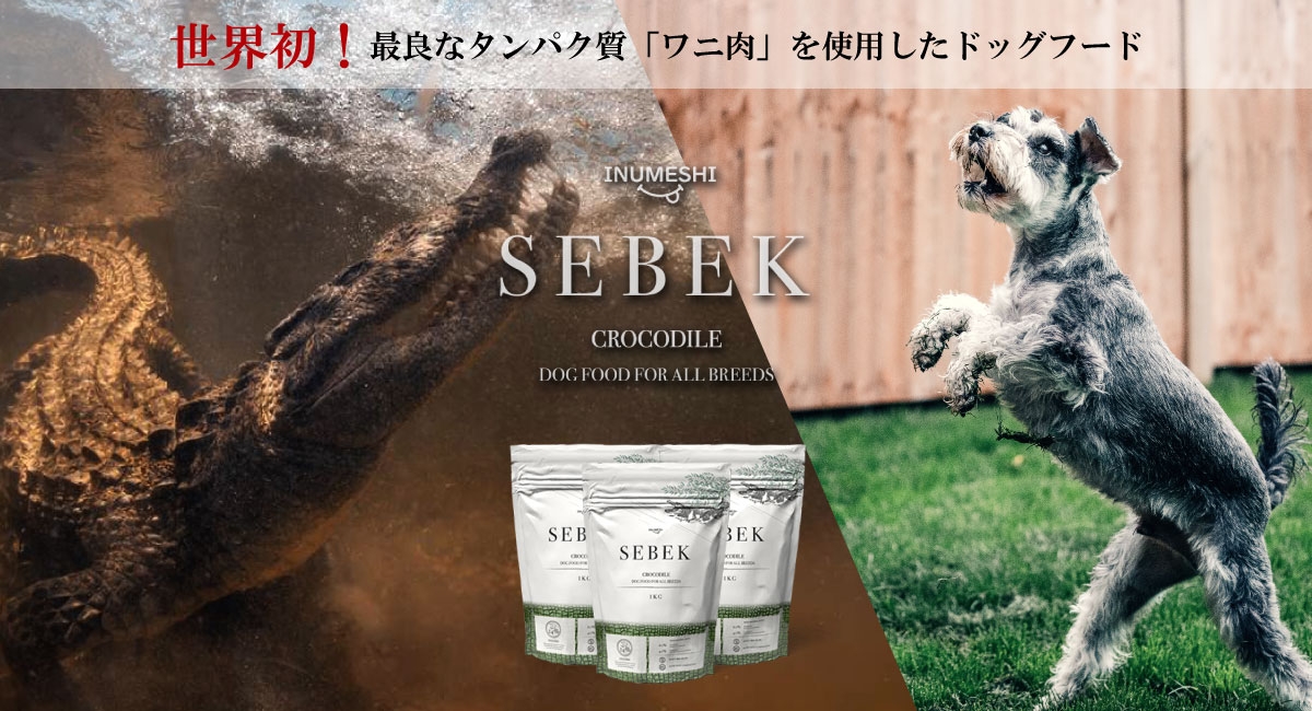 Sebek セベク 世界初 最良なタンパク質 ワニ肉 を使用したドッグフードがクラウドファンディングで販売開始 Newscast