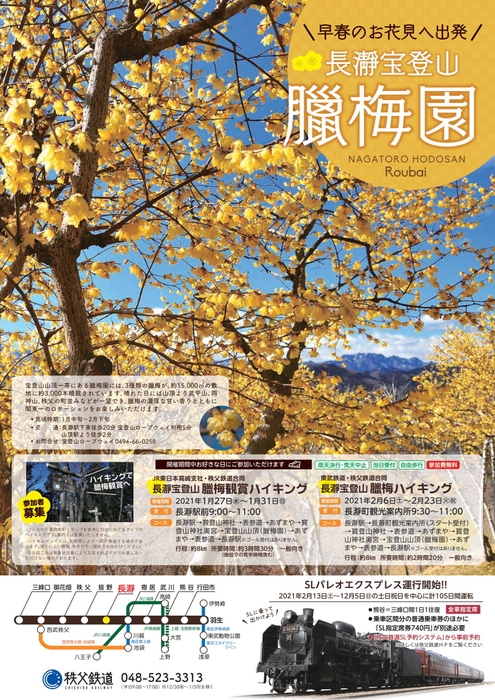 ロウバイパンフレット表