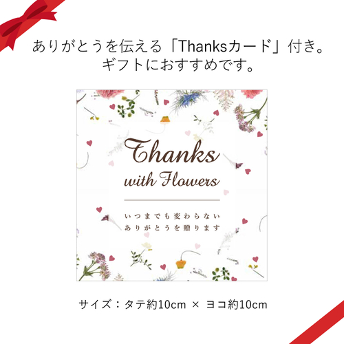 「Thanksカード」。贈り物に感謝の気持ちを添えます。