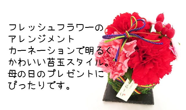 正面から